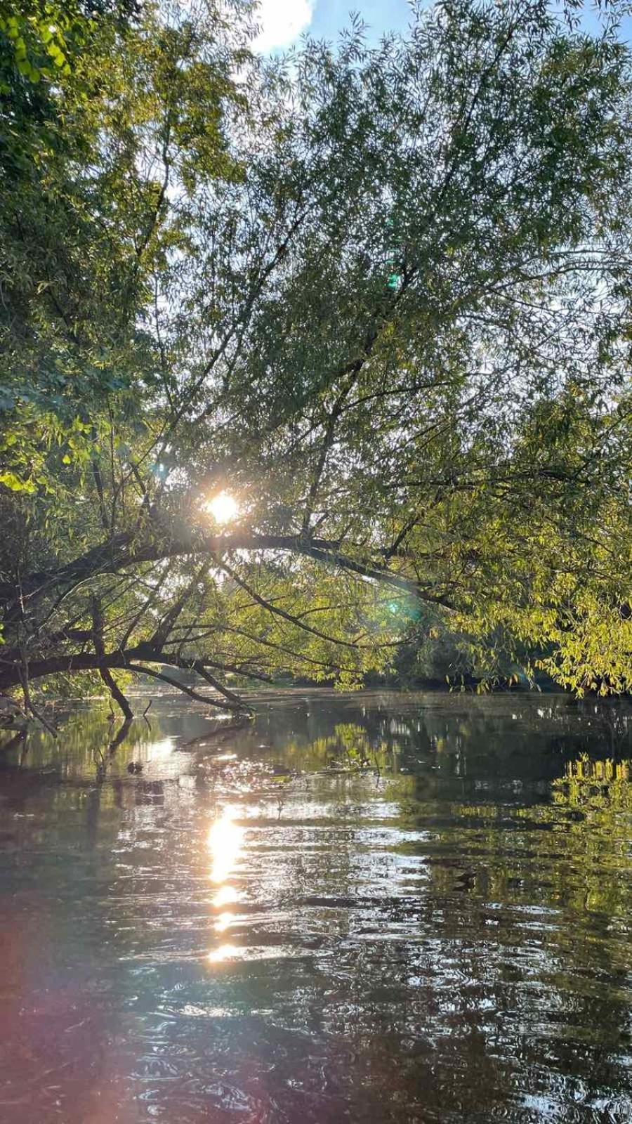 Guesthouse With 3 Apartments, Just Outside Berlin, Near To Tesla Burig Eksteriør billede