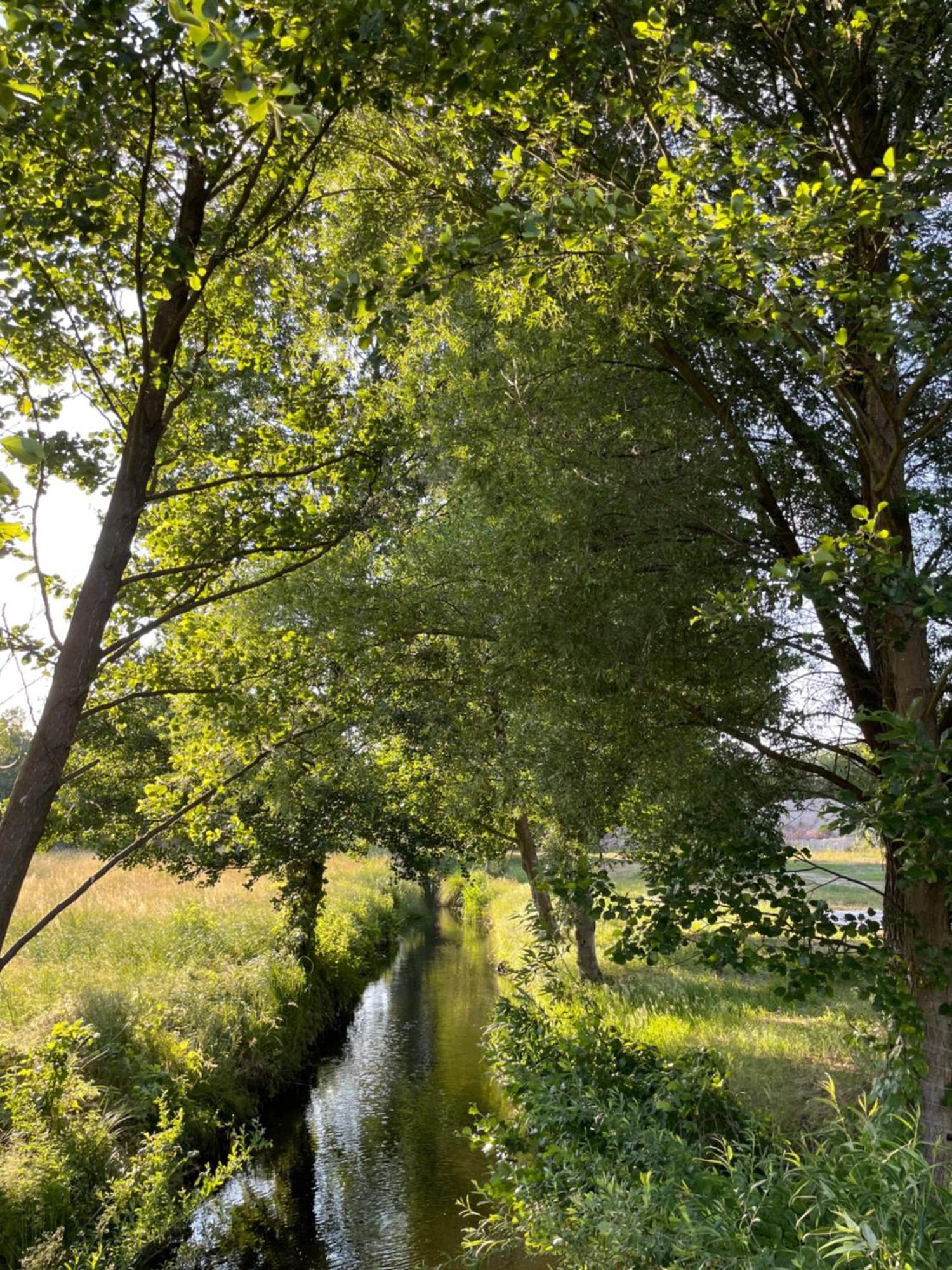 Guesthouse With 3 Apartments, Just Outside Berlin, Near To Tesla Burig Eksteriør billede