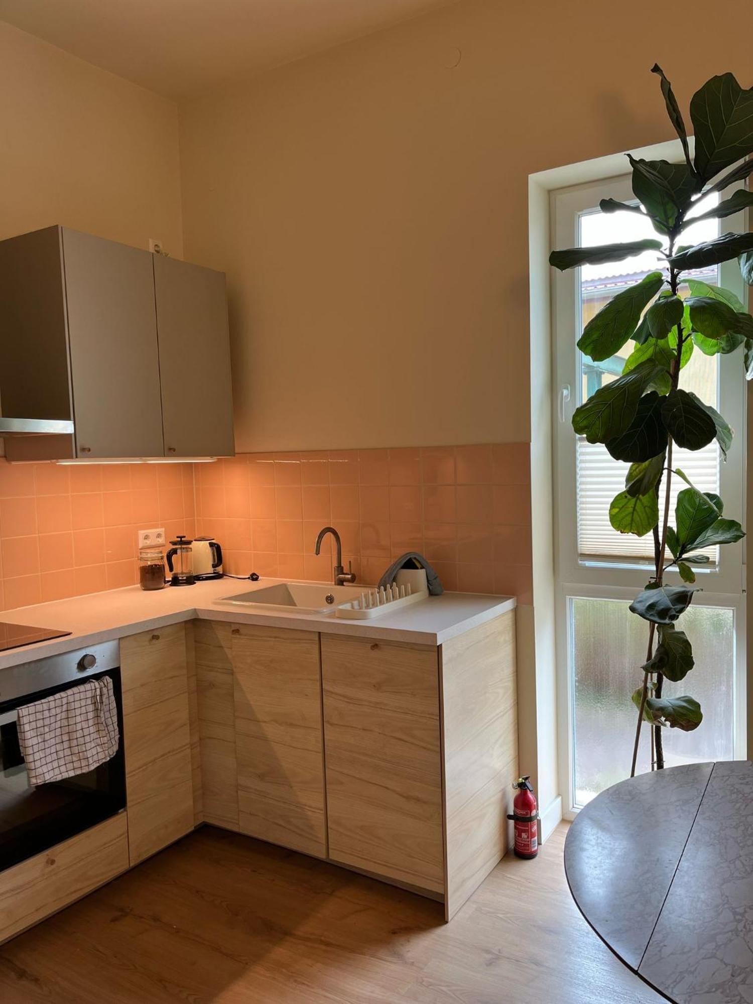 Guesthouse With 3 Apartments, Just Outside Berlin, Near To Tesla Burig Eksteriør billede